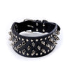 Black (29_361385)