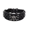 Black (366_361385)